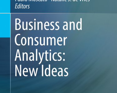 Business and Consumer Analytics: New Ideas