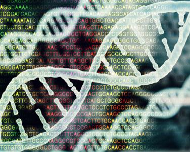 Biyoenformatik ve Genetik bölümü İlk Öğrencilerini Bekliyor 